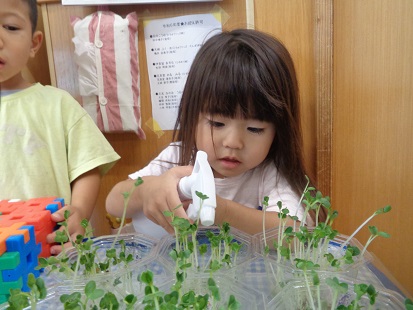 01.あおぞらの子保育園　環境